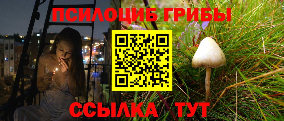 Псилоцибиновые грибы мицелий Вышний Волочёк