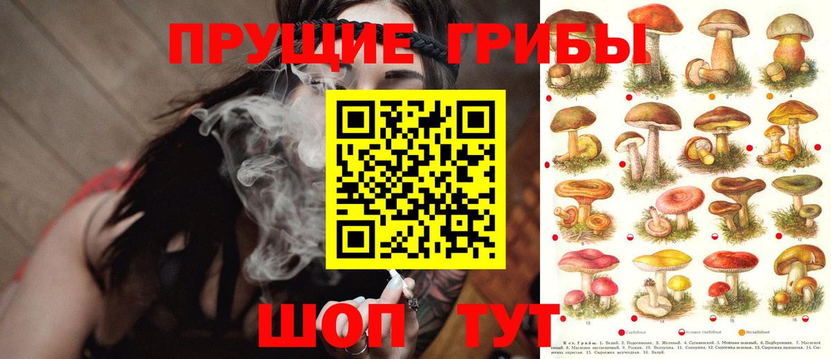 Псилоцибиновые грибы Psilocybine cubensis  Вход с VPN  Вышний Волочёк 